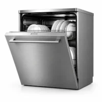 Kitchen dishwashers